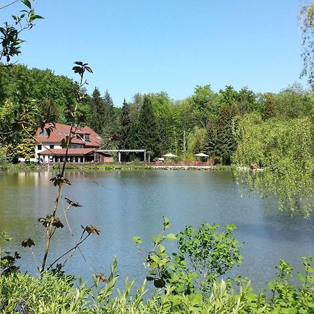 Waldhotel Zur Holzmuhle Eldagsen Exteriör bild