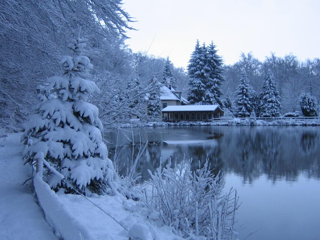 Waldhotel Zur Holzmuhle Eldagsen Exteriör bild
