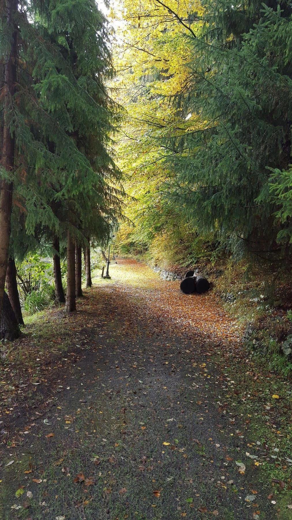 Waldhotel Zur Holzmuhle Eldagsen Exteriör bild